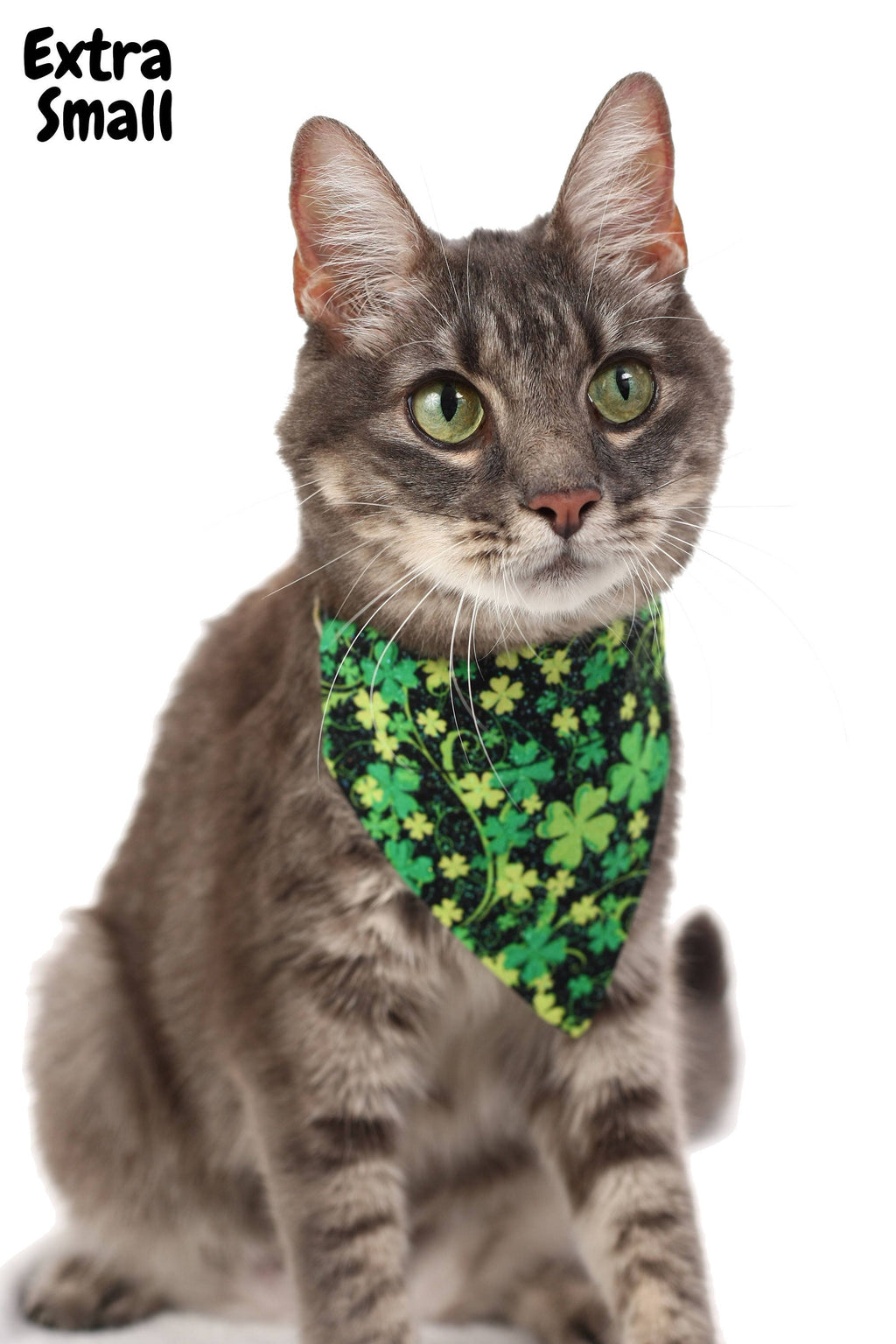Shimmering Shamrocks Pet Scarf