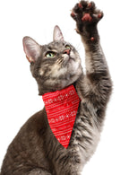 Red and White Merry Christmas Pet Scarf