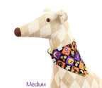 Spooky Squares Pet Scarf