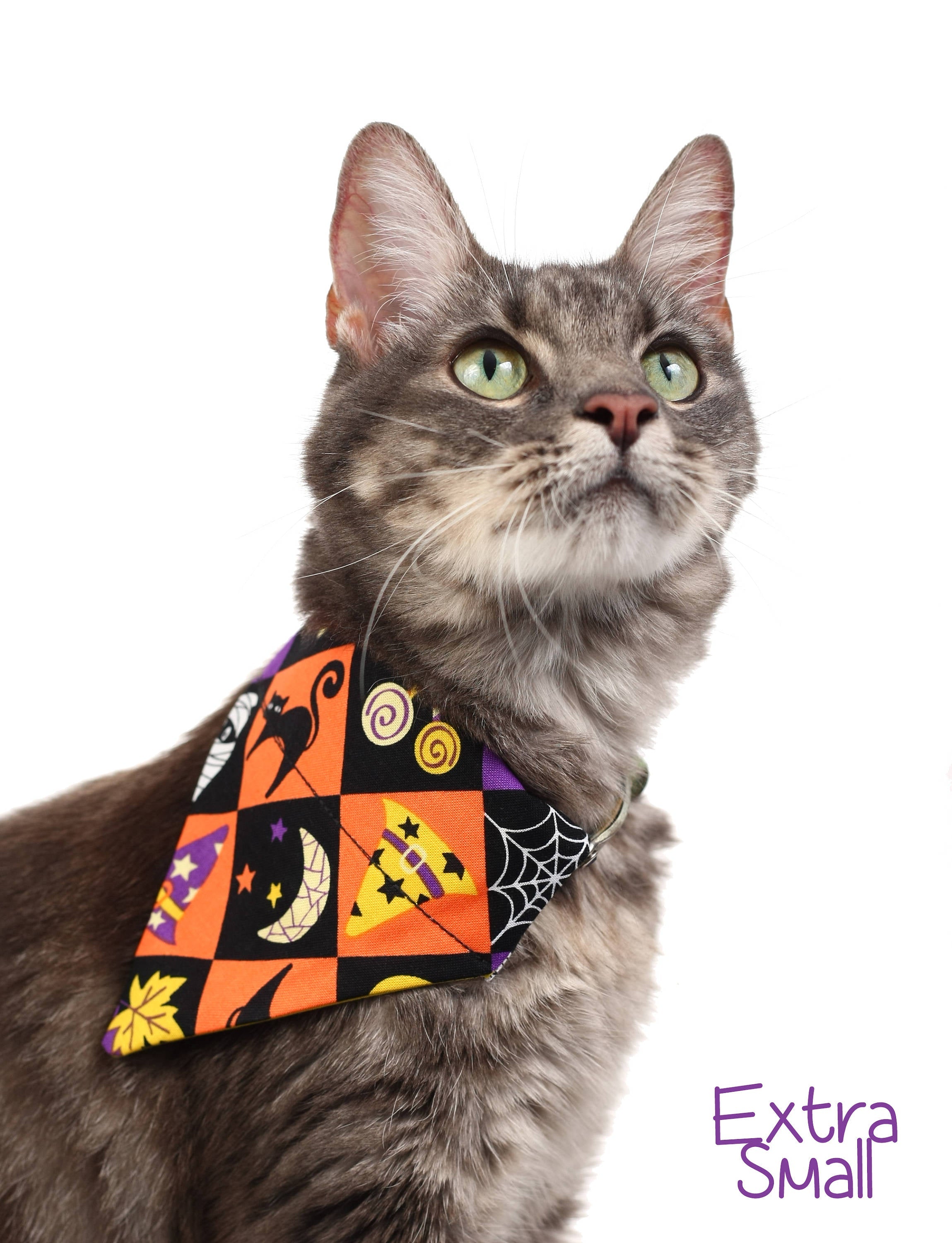 Spooky Squares Pet Scarf