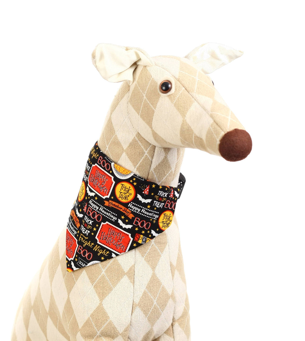 Fright Night Pet Scarf