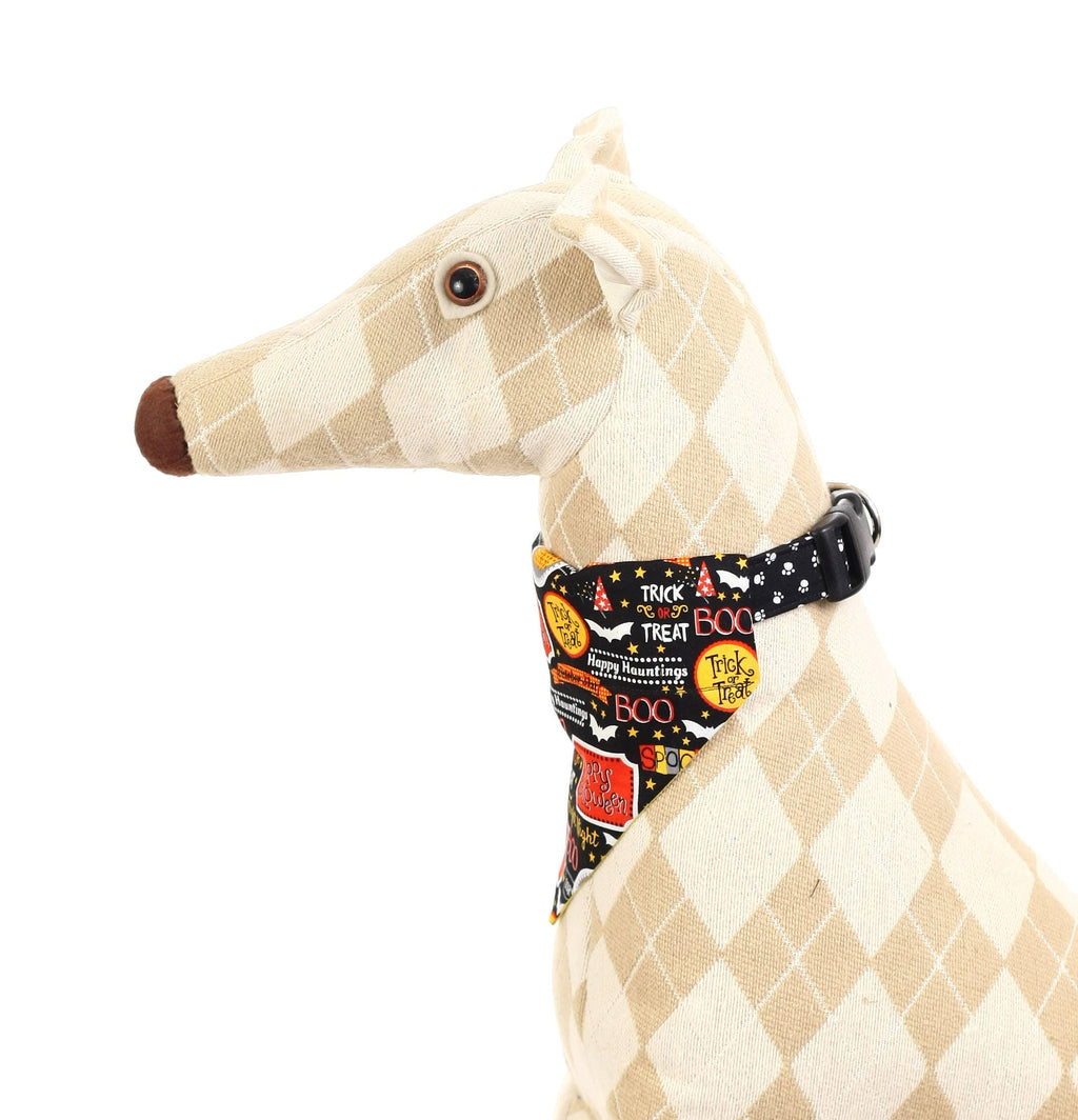 Fright Night Pet Scarf