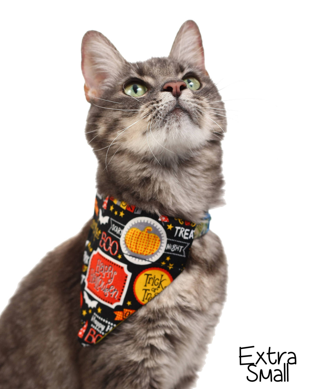 Fright Night Pet Scarf