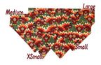 Pilgrim Turkeys on Green Pet Scarf