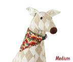 Pilgrim Turkeys on Green Pet Scarf
