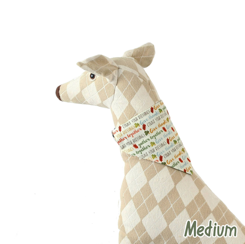 Thankful Words Pet Scarf