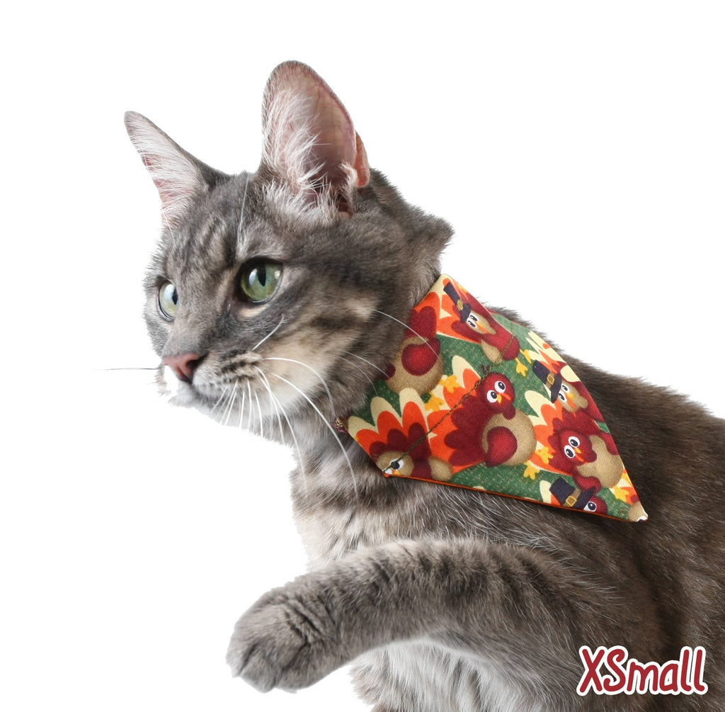 Pilgrim Turkeys on Green Pet Scarf
