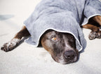 Microfiber Pet Towel Set - Quick Drying & Soft for Pets