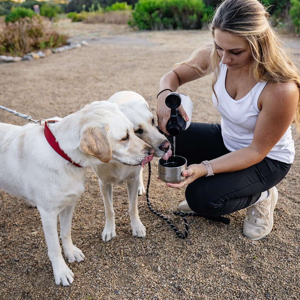 HydroPet® 32 oz Portable Dog Water Bottle – Stainless Steel Travel Flask with 2 Detachable Bowls, Carry Bag & Strap
