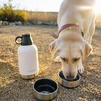 HydroPet® 32 oz Portable Dog Water Bottle – Stainless Steel Travel Flask with 2 Detachable Bowls, Carry Bag & Strap