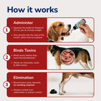 Pet Vet Activated Charcoal Gel for Dogs & Cats (60 mL) – Veterinary-Formulated, Natural Beef Flavor, Fast Toxin Adsorption for Poisoning, Stomach Upset, Diarrhea & Gas Relief – Made in USA