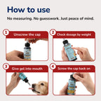 Pet Vet Activated Charcoal Gel for Dogs & Cats (60 mL) – Veterinary-Formulated, Natural Beef Flavor, Fast Toxin Adsorption for Poisoning, Stomach Upset, Diarrhea & Gas Relief – Made in USA