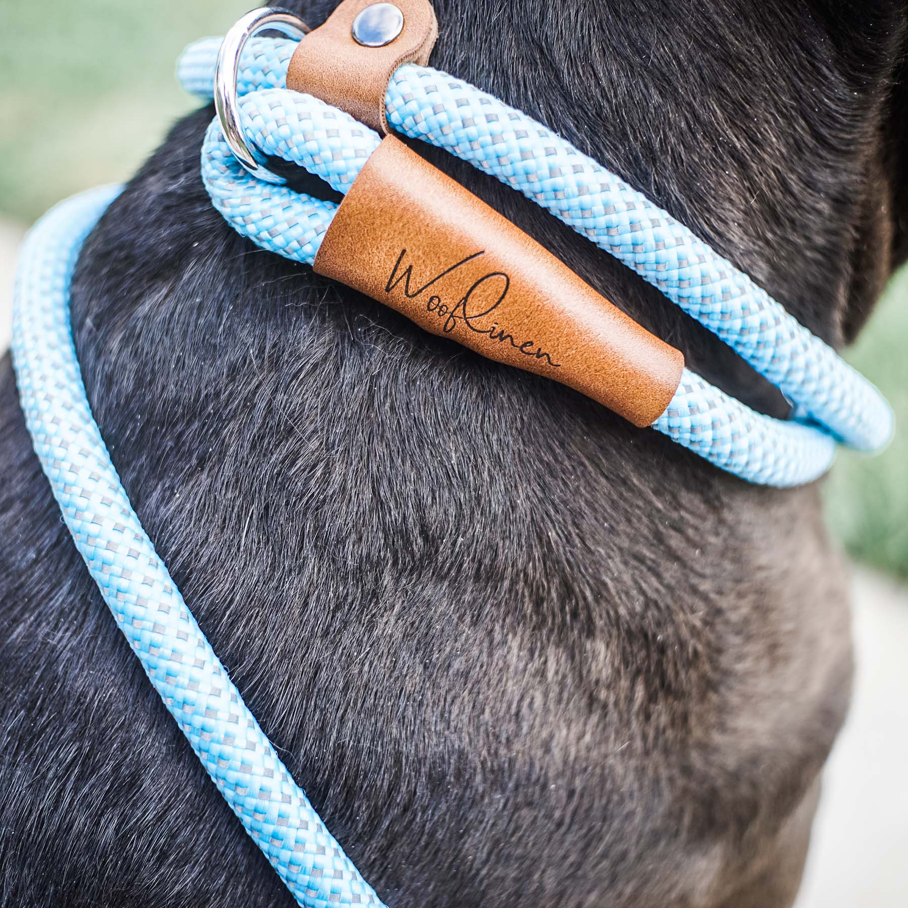 Ultra Reflective 6' Dog Slip Leash